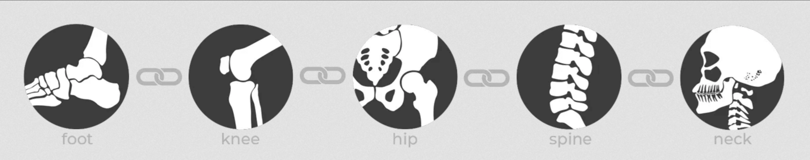 Foot Spine Connection